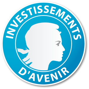 Investissement d'Avenir logo