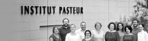 Saleh Lab Team at Institut Pasteur