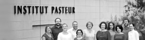 Saleh Lab Team at Institut Pasteur
