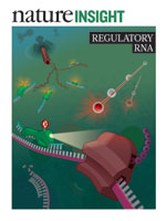 Nature Insight February 2012 Regulatory RNA