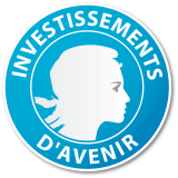 Investissement d'Avenir logo