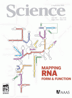 Science Insight September 2005 Mapping RNA Form & Function